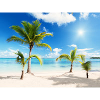 Beach Download Png PNG Image