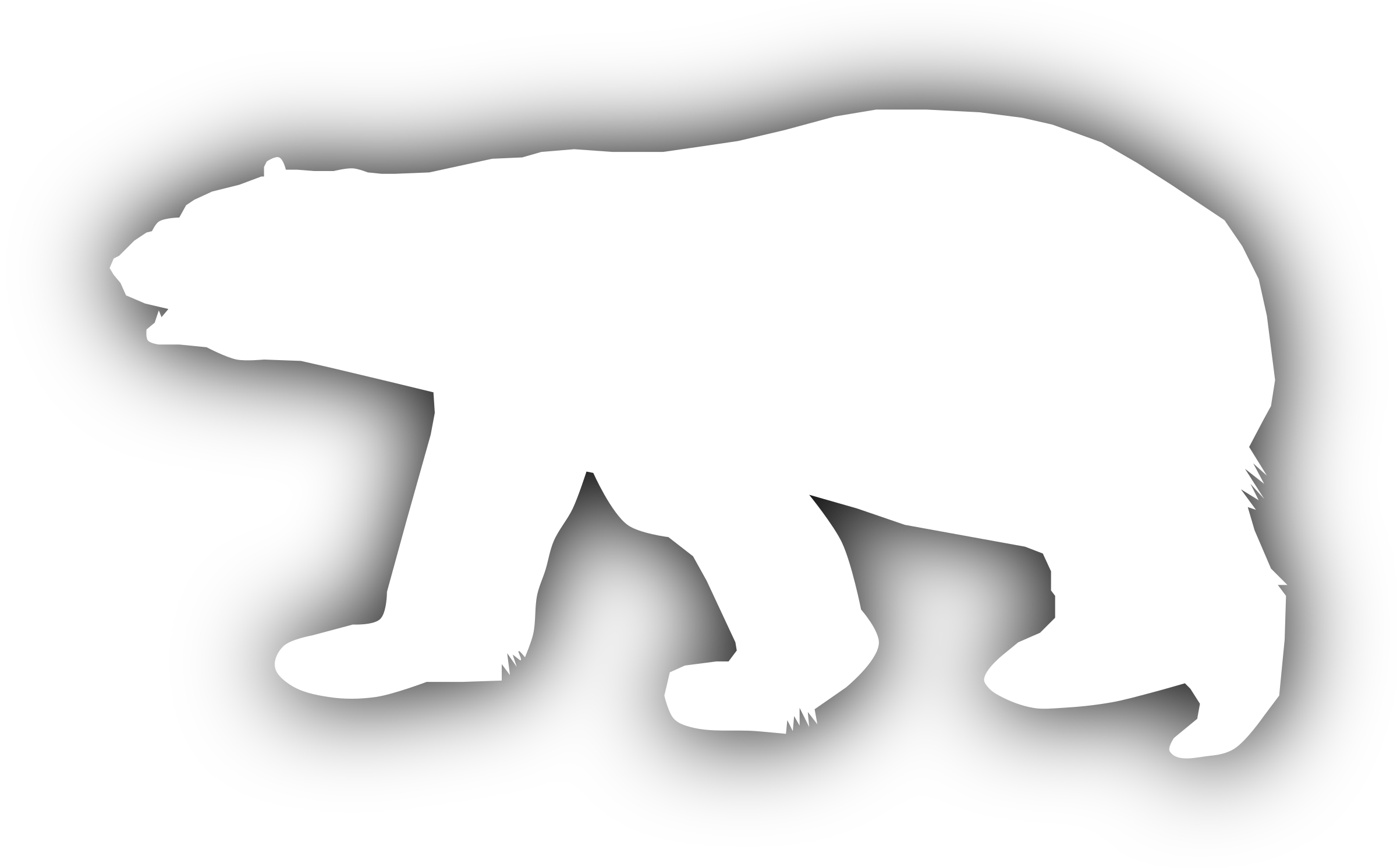 Polar Vector Bear Free Download PNG HD PNG Image