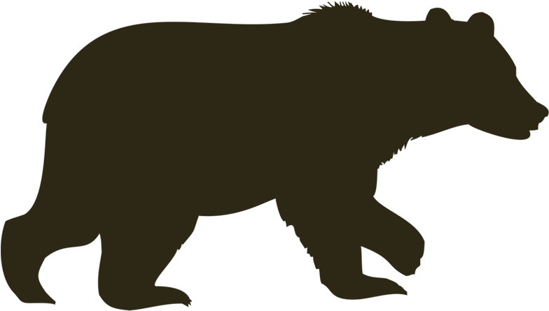 Wild Vector Bear PNG Free Photo PNG Image