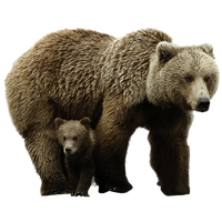 Real Baby With Bear HD Image Free Transparent PNG Image
