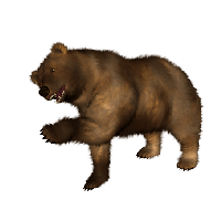 Download Bear Free PNG photo images and clipart | FreePNGimg