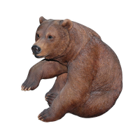 Download Bear Free Png Photo Images And Clipart 