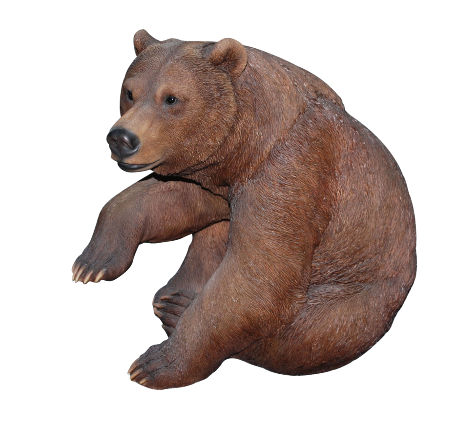 Born png. Медведь без фона. Медведь для фотошопа. Бурый медведь без фона. Медведь без фона для фотошопа.
