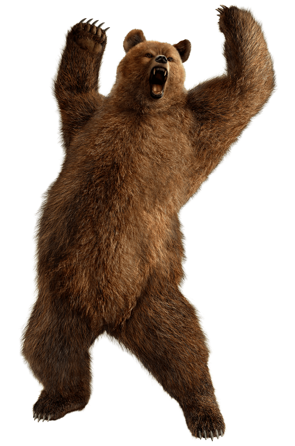 Brown Greezly Bear Png Image PNG Image