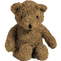 bear PNG transparent image download, size: 400x321px