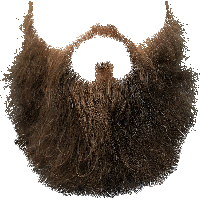 Beard Png Image PNG Image