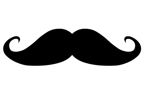 Moustache Png Image PNG Image