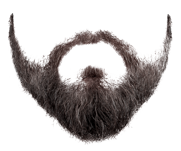 Beard Png 2 Transparent PNG Image