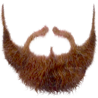 Beard Transparent Image