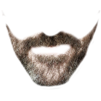 Download Beard Free Png Photo Images And Clipart Freepngimg
