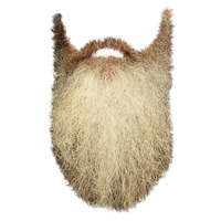 Beard File