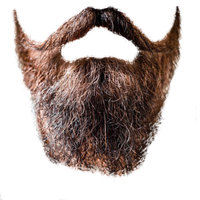 Download Beard Free PNG photo images and clipart | FreePNGImg