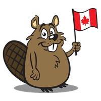 Beaver Free Download Transparent PNG Image
