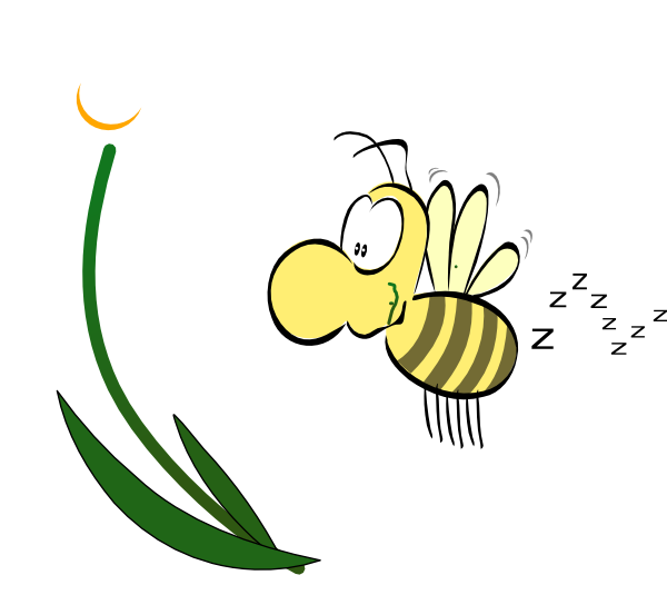 Honey Vector Bumblebee Bee Free HD Image PNG Image