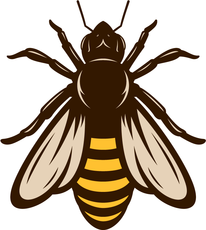 Honey Vector Pic Bee Free Clipart HD PNG Image