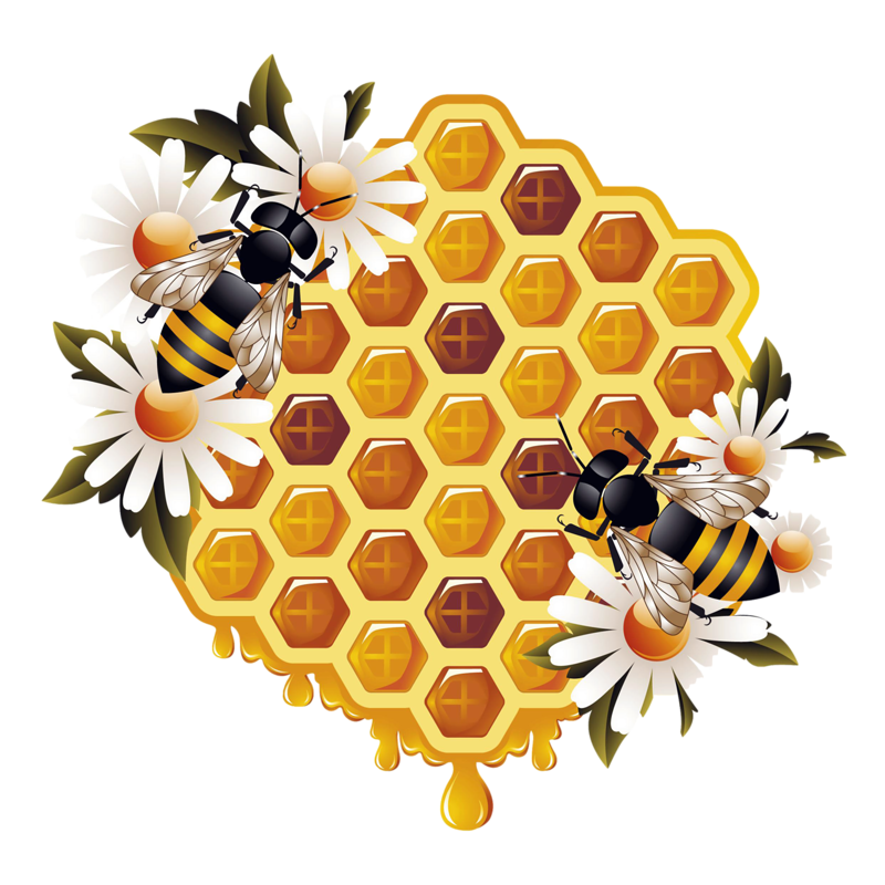 Honey Yellow Bee Free Transparent Image HQ PNG Image
