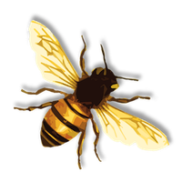 Download Bee Free Png Photo Images And Clipart Freepngimg