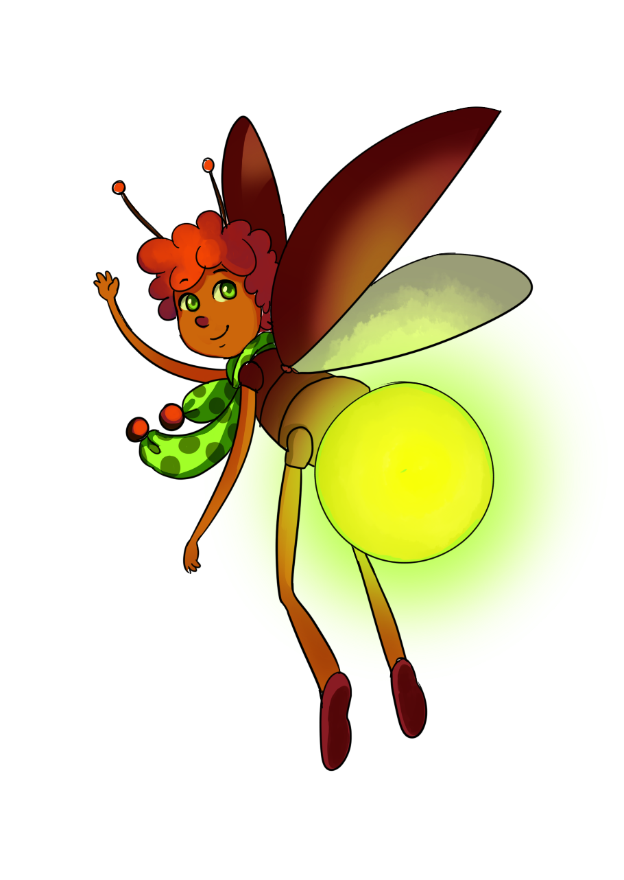 firefly insect drawing
