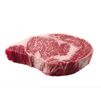 Beef meat PNG