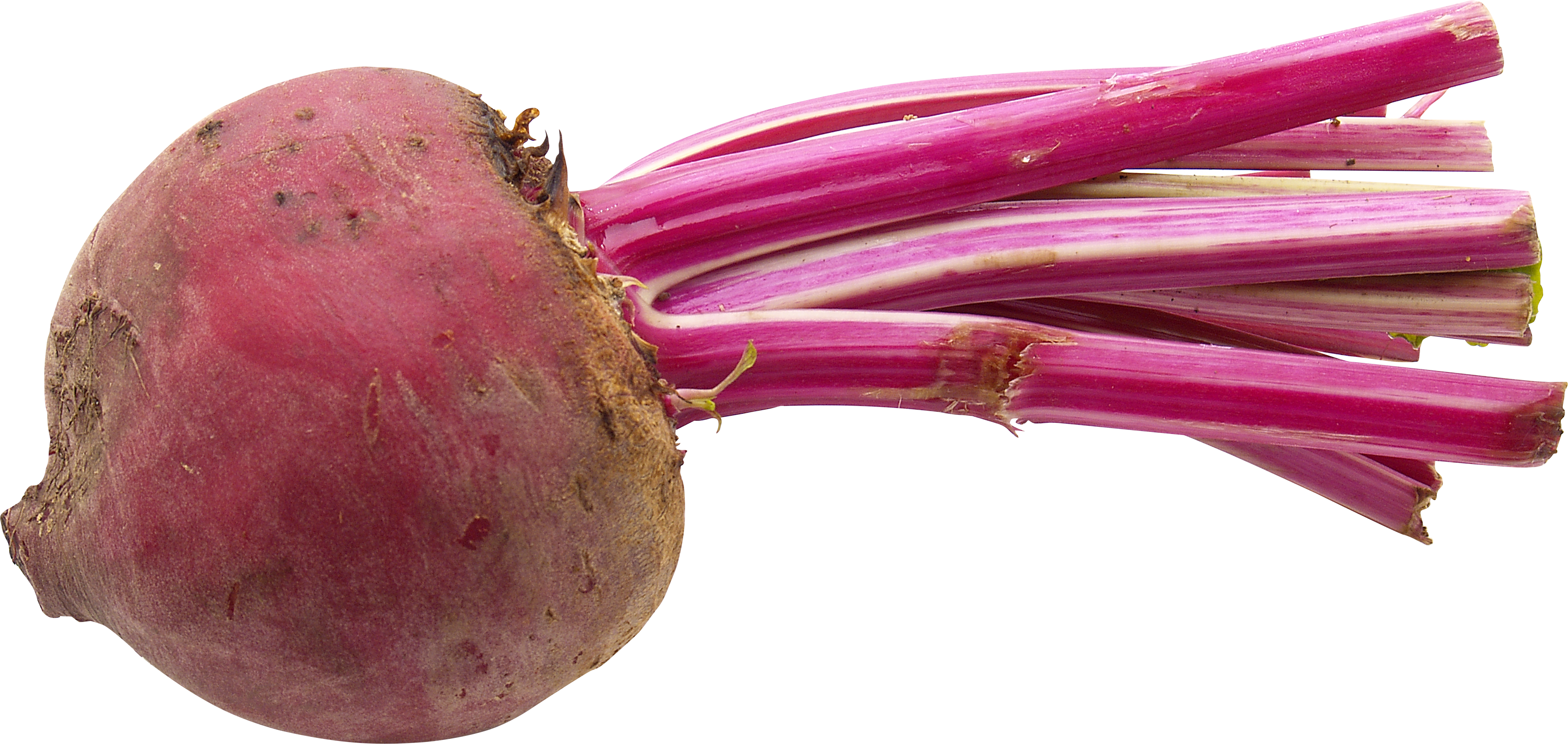 Beet Transparent PNG Image