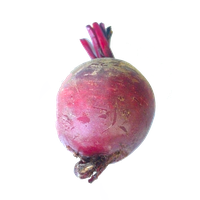 Beet PNG