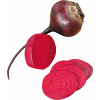 Beet PNG