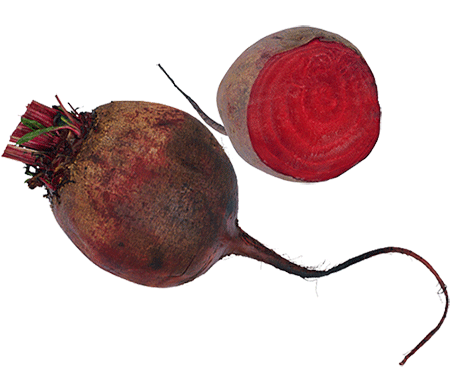 Beet Transparent PNG Image