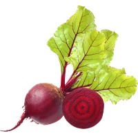 Beet PNG