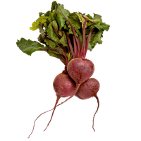 Beet PNG
