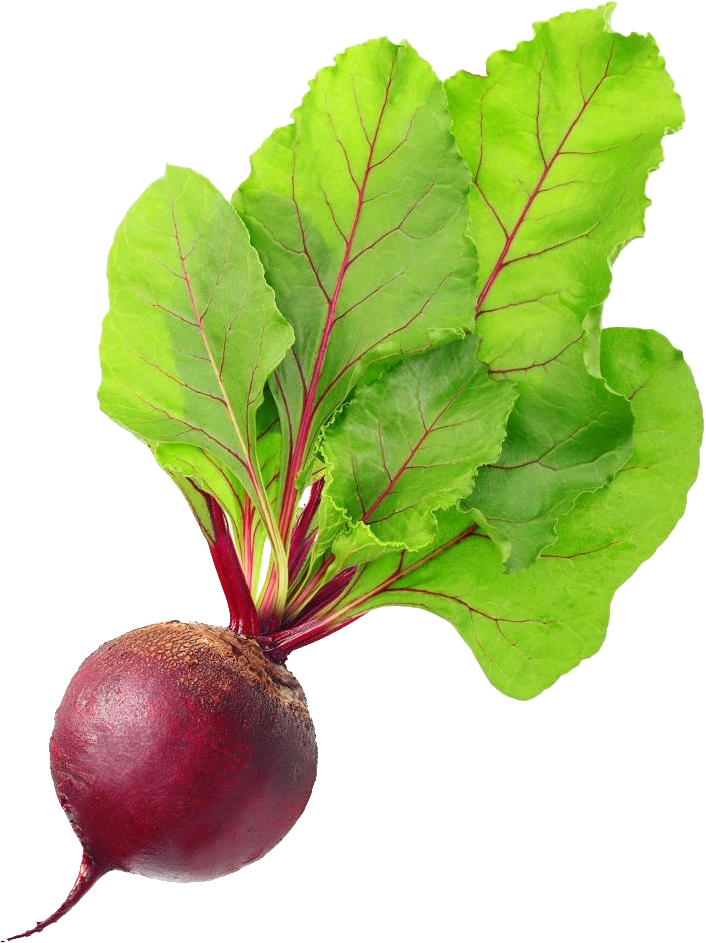Beet Transparent PNG Image