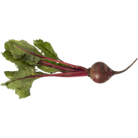 Beet PNG