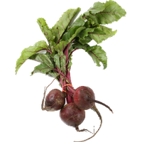 Beet PNG