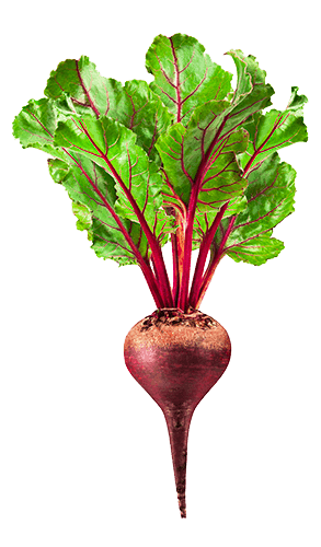 Beet Transparent PNG Image