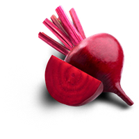 Beet PNG