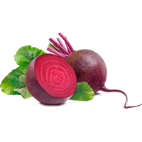 Beet PNG