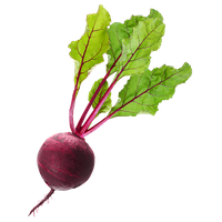 Beet PNG