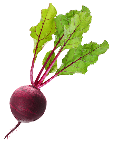 Beet Transparent PNG Image