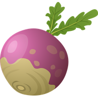Beet PNG