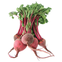 Beet PNG