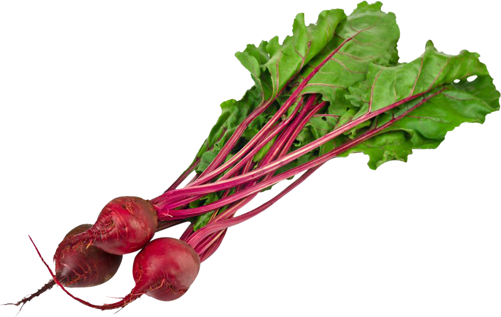 Beet Transparent PNG Image