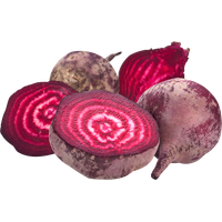 Beet PNG