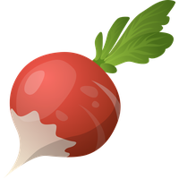 Beet PNG