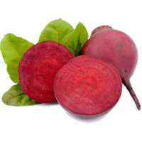 Beet PNG