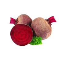 Beet PNG