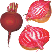 Beet PNG