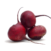 Beet PNG