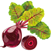 Beet PNG