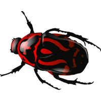 Beetle Free Download Png