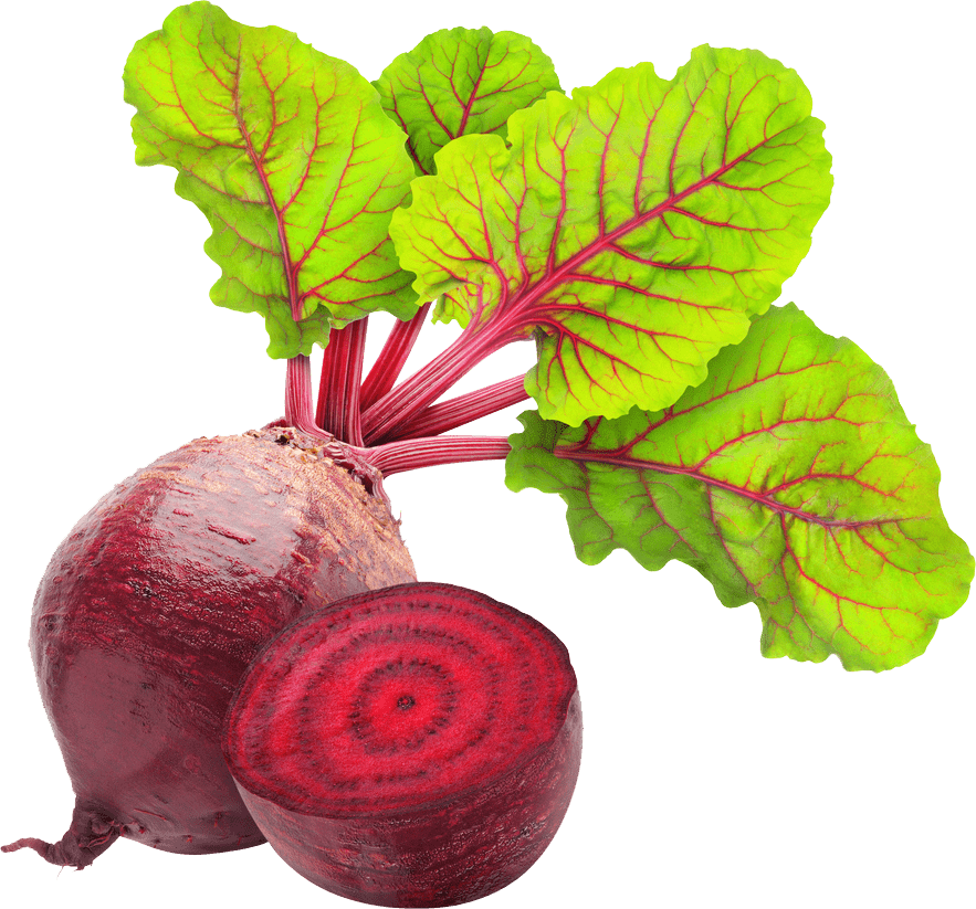 Beetroot Organic Free Clipart HQ PNG Image