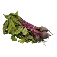 Beetroot Fresh Bunch Free HQ Image PNG